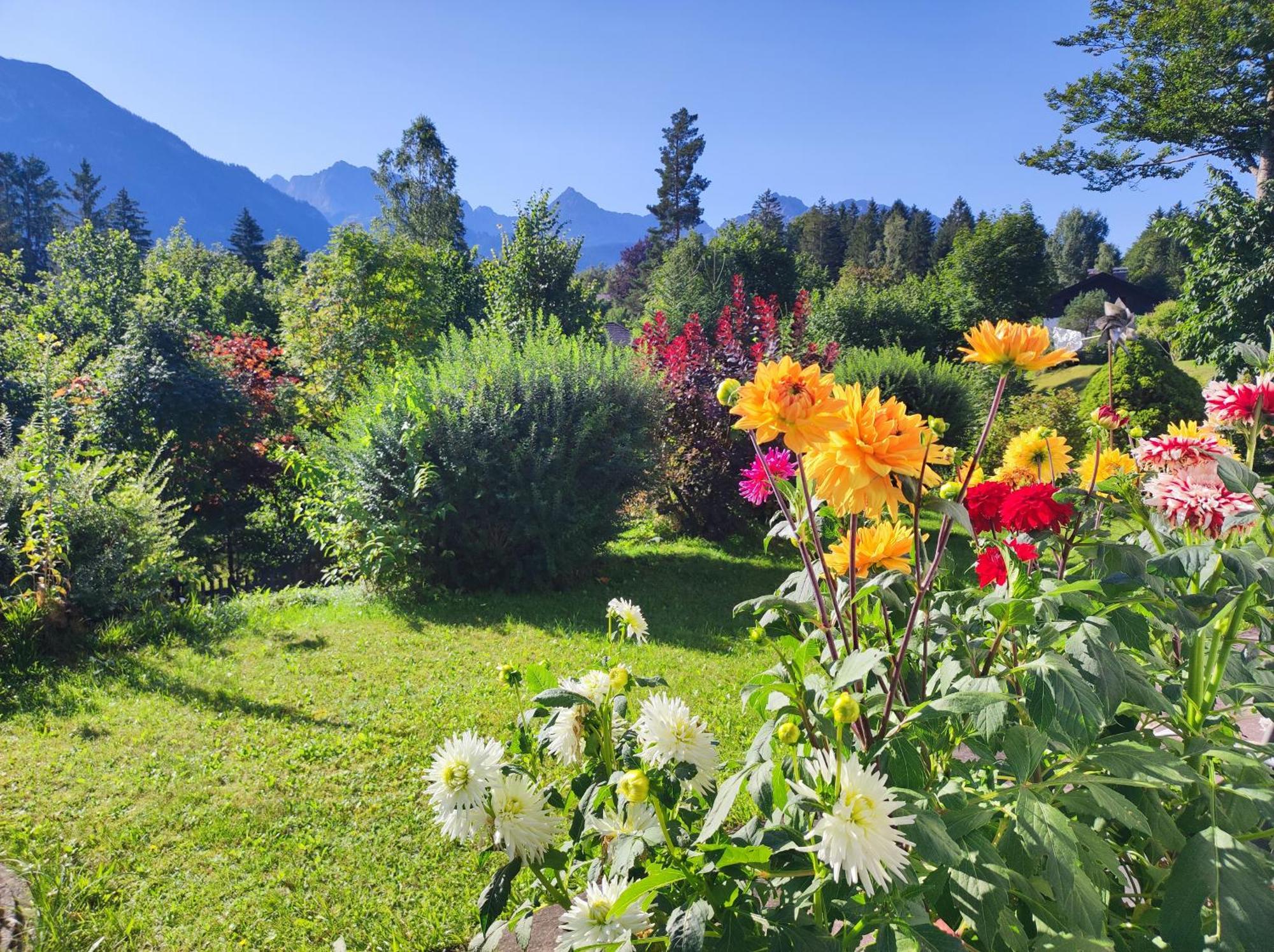 Ferienwohnung Soiernblick Kruen Baernbichl ภายนอก รูปภาพ