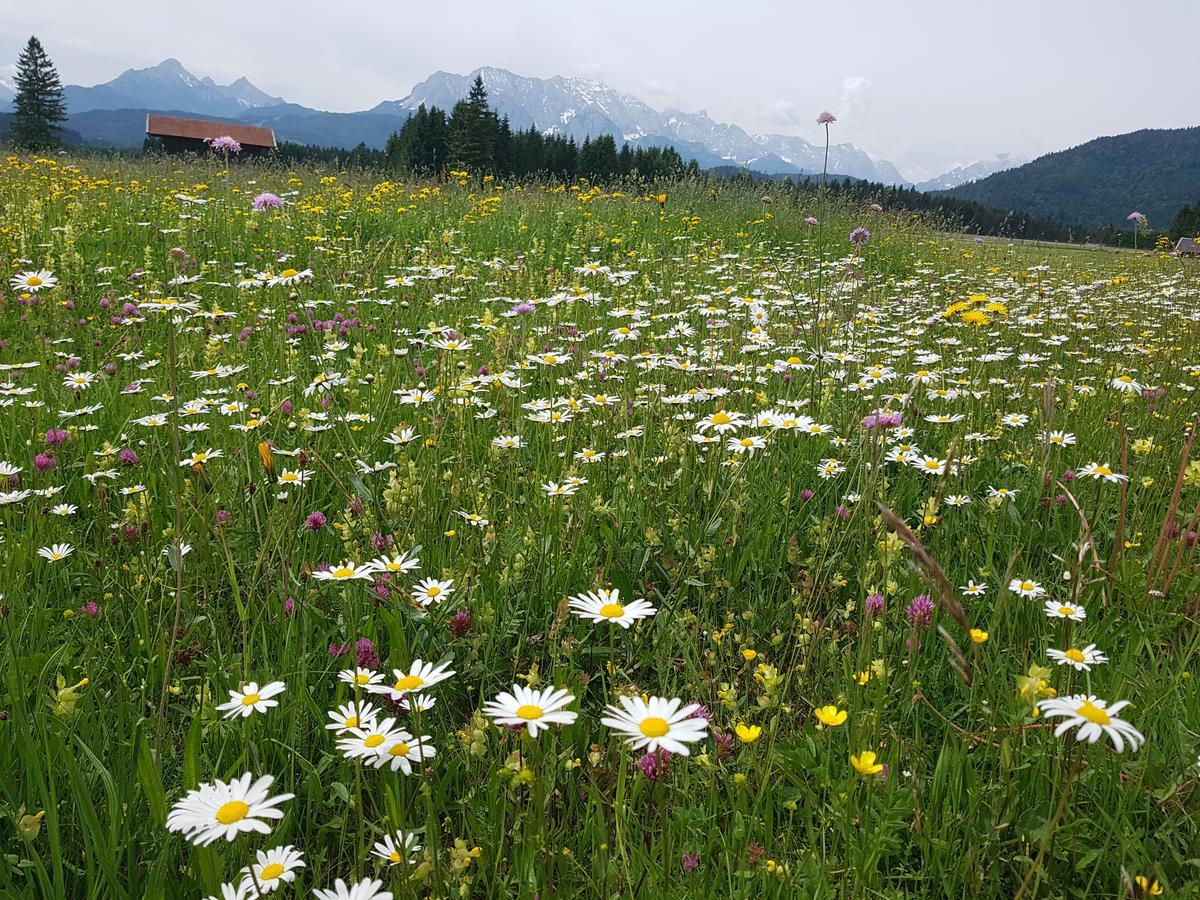 Ferienwohnung Soiernblick Kruen Baernbichl ภายนอก รูปภาพ